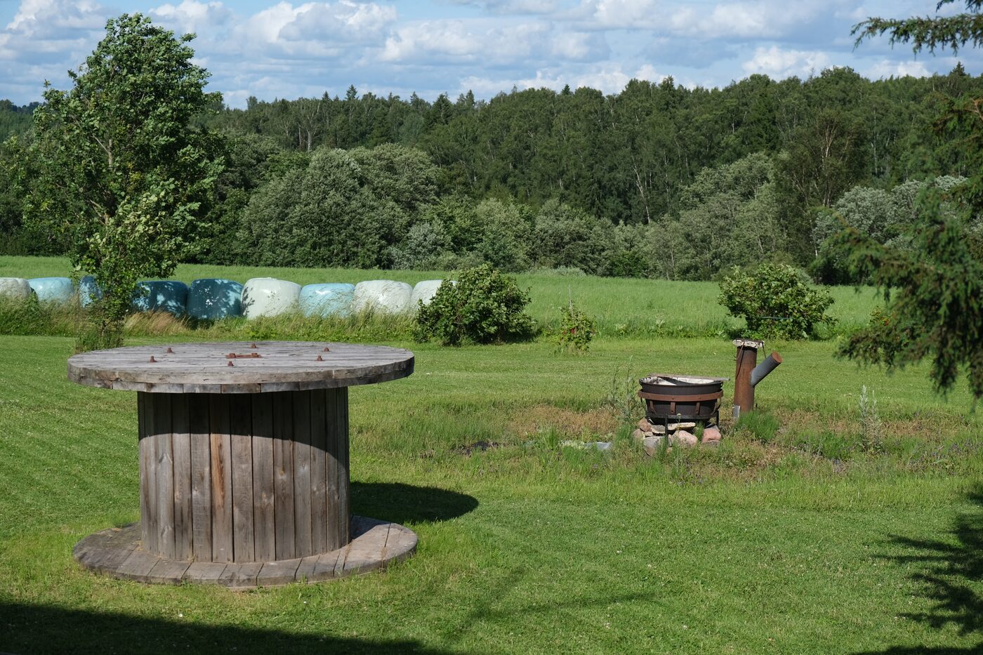 Kulla Saunamaja õueala vaatega rohelisele metsaservale